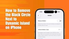 Remove Black Circle Next to Dynamic Island on iPhone