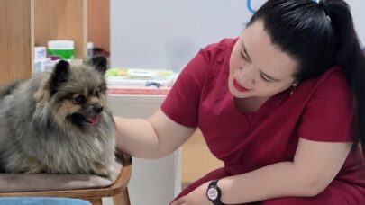Benefits of Annual Checkups with General Veterinarian