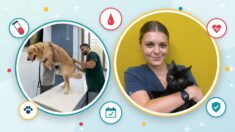 Protects Pet Health