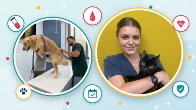 Protects Pet Health