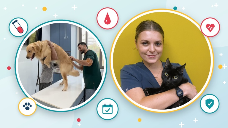 Protects Pet Health